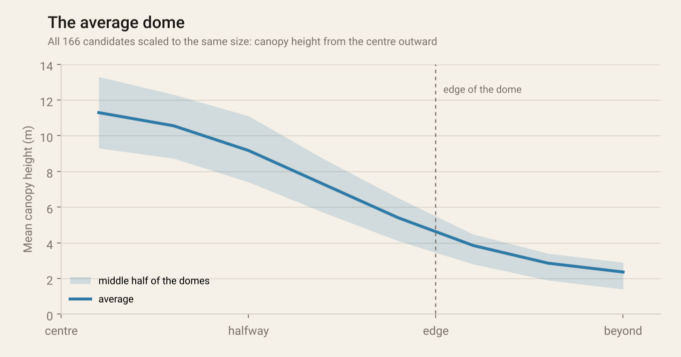 Line chart of mean canopy height from the centre of a dome outward, averaged over 166 domes: about 11 metres at the centre, falling smoothly to about 5 metres at the edge and on down to about 2 metres beyond it, with a shaded band showing the middle half of the domes