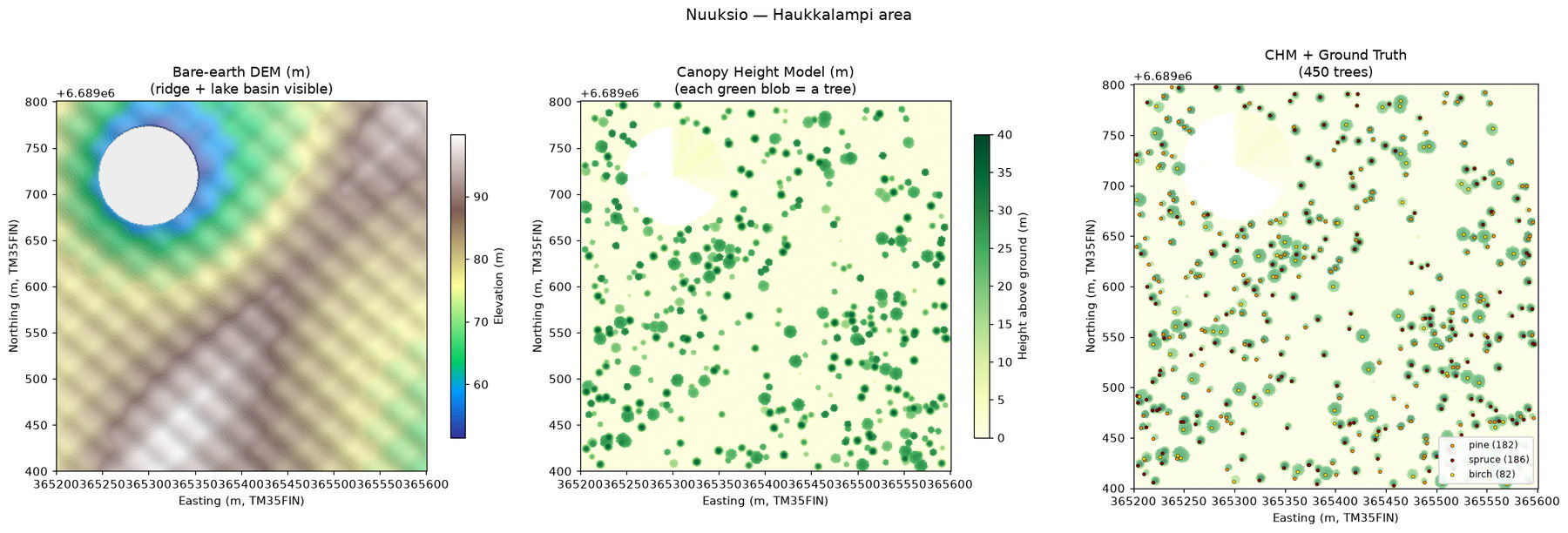 Three panels: bare-earth DEM showing a ridge and lake basin, canopy height model with individual tree crowns, and the CHM with 450 ground-truth trees marked by species.