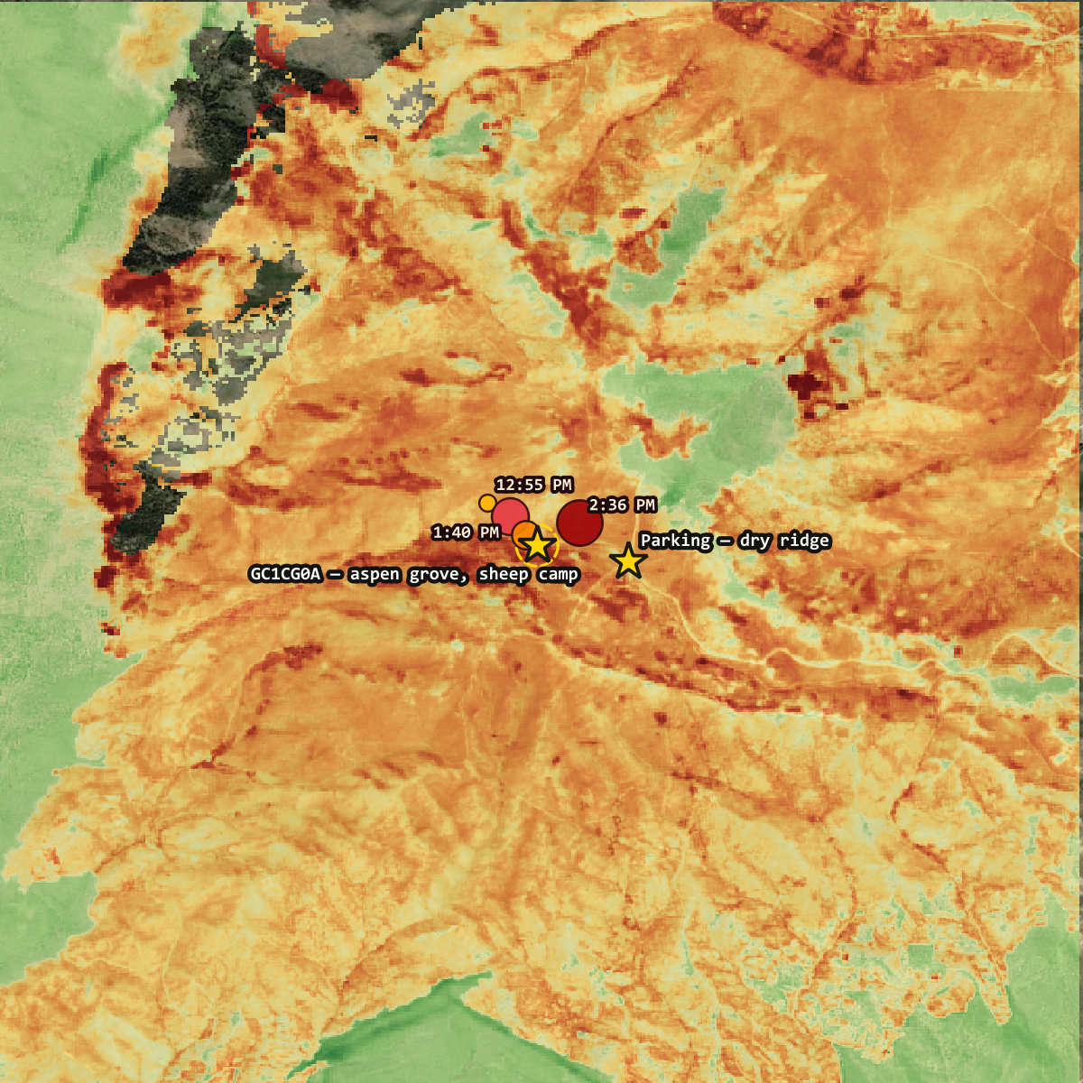 Burn severity across the full seven-kilometre area of interest, showing the grove as one of the hottest points in the burn.