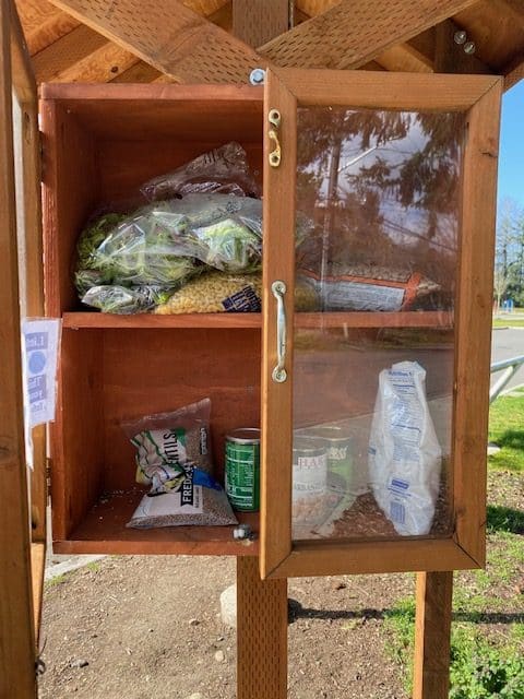 Wooden-style pantry cabinet with glass door, stocked with beans, lentils, and canned food