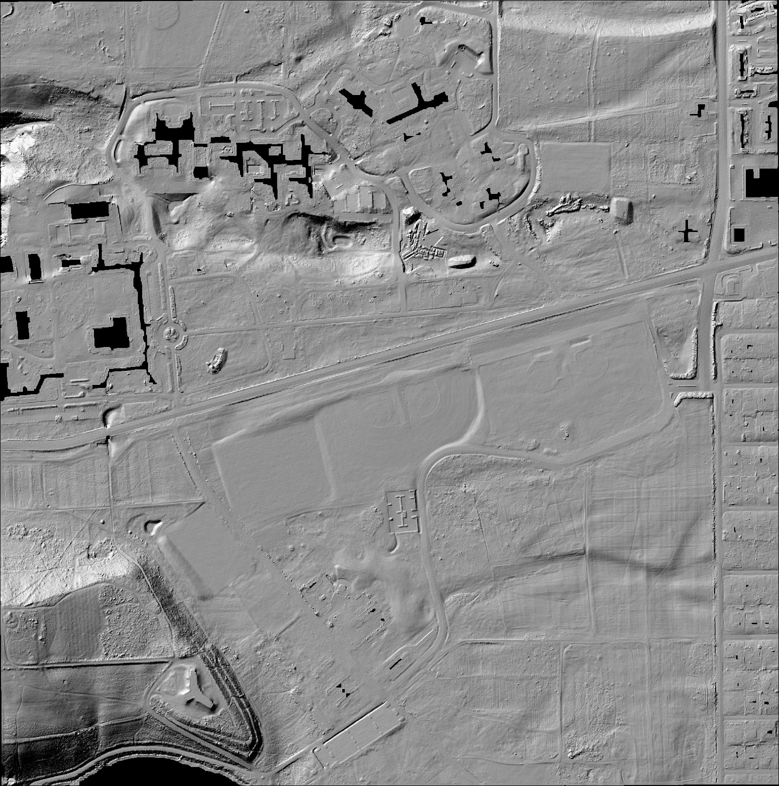 Fort Steilacoom bare earth at 0.5 m